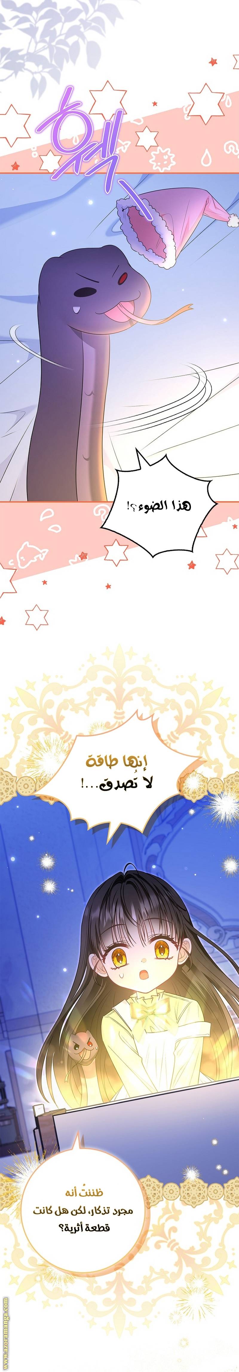 الصفحة 21