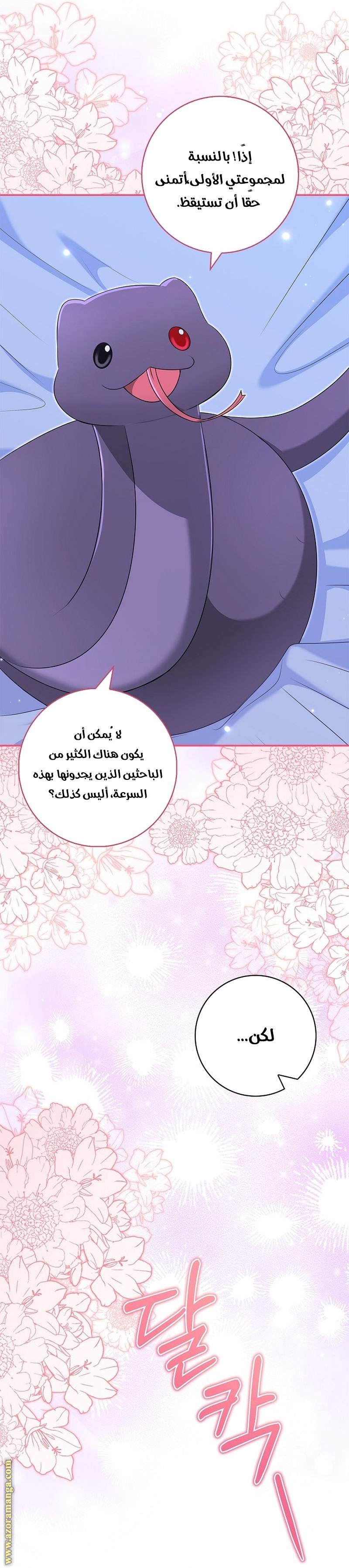 الصفحة 24