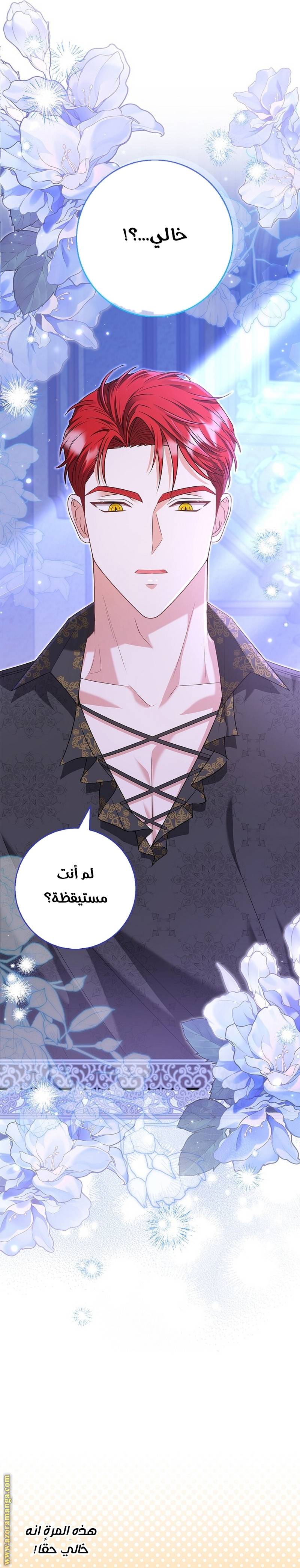 الصفحة 26