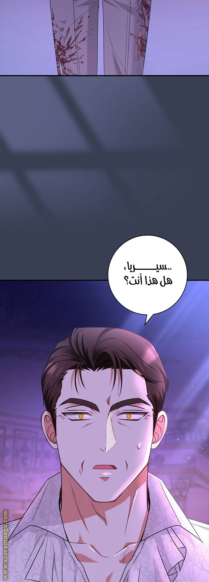 الصفحة 28