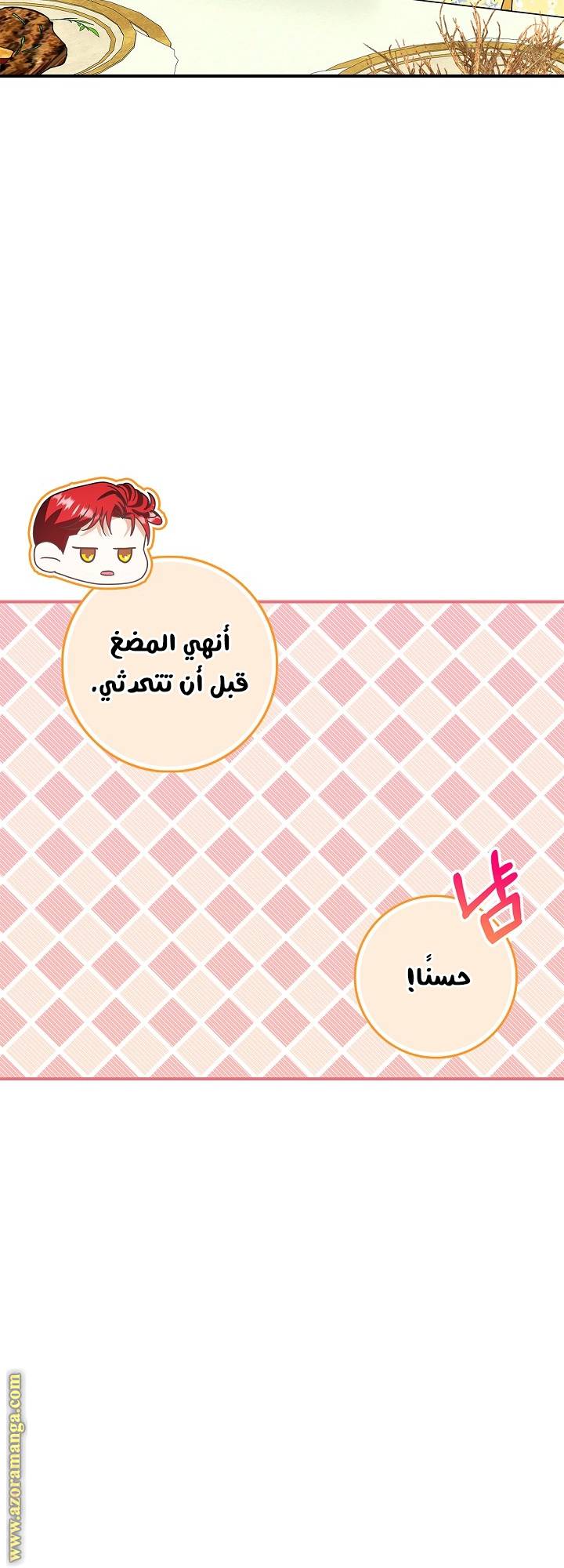 الصفحة 25