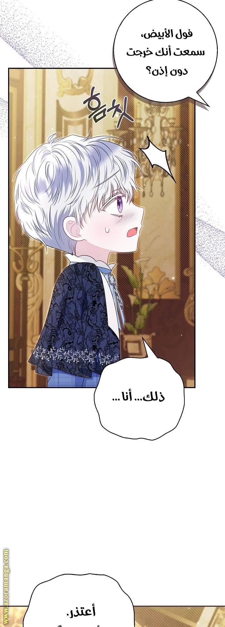 الصفحة 27