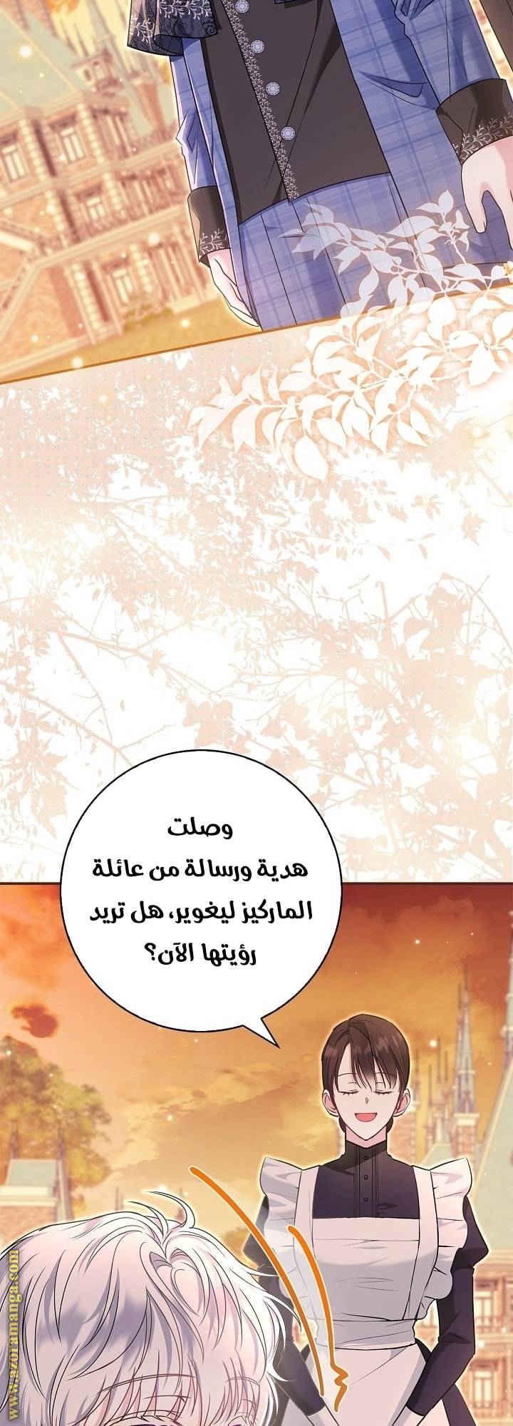 الصفحة 41