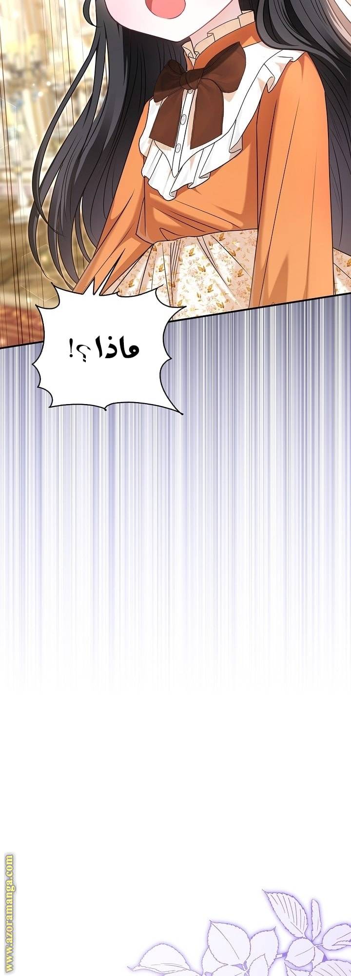 الصفحة 53