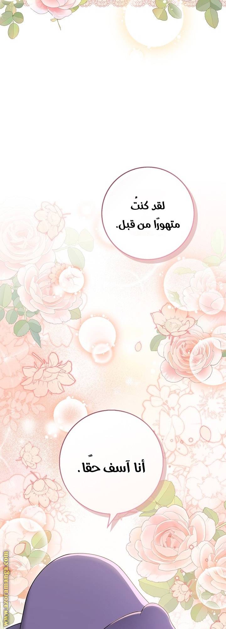 الصفحة 46