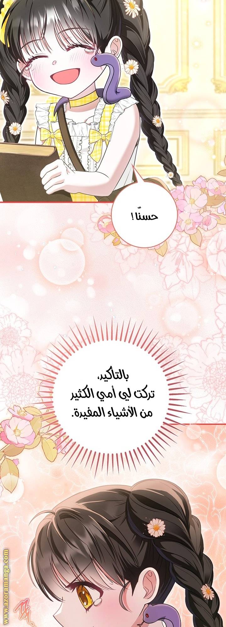 الصفحة 67