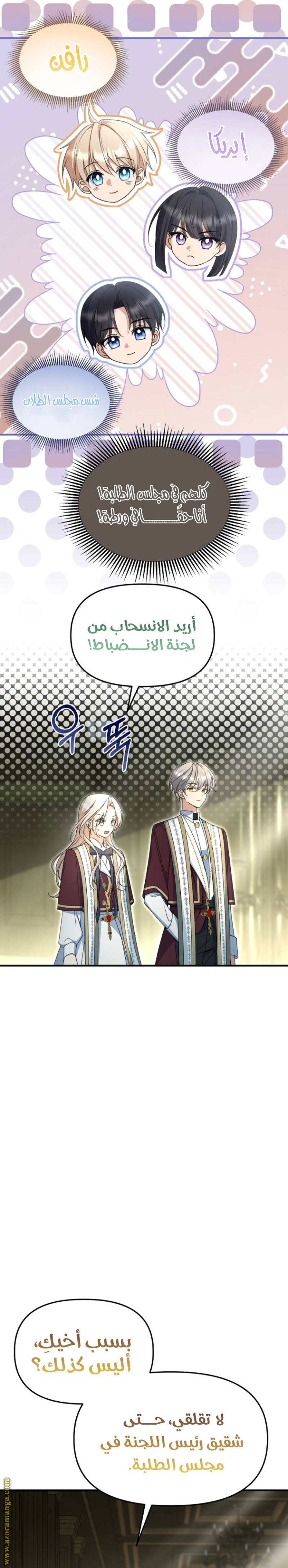 الصفحة 13