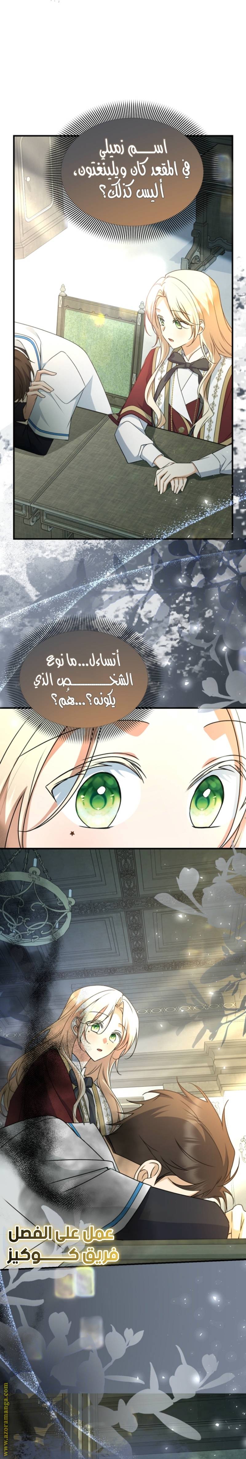الصفحة 17