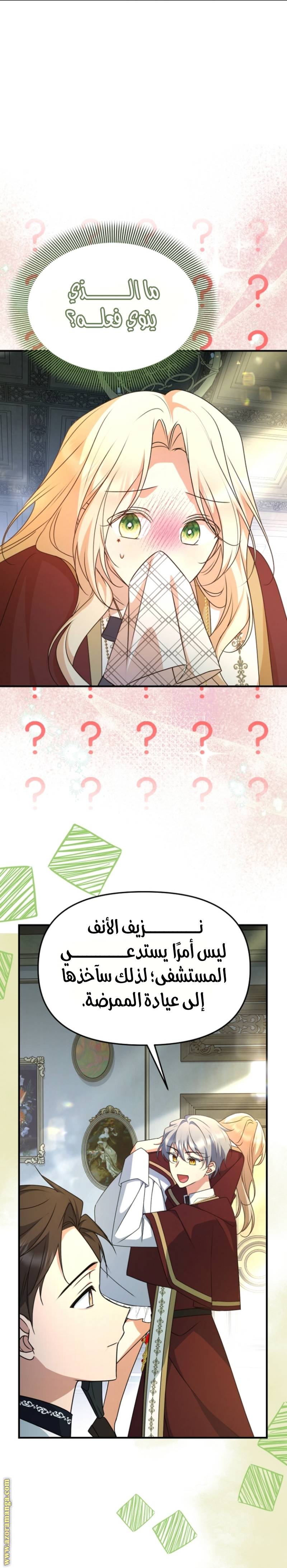 الصفحة 26