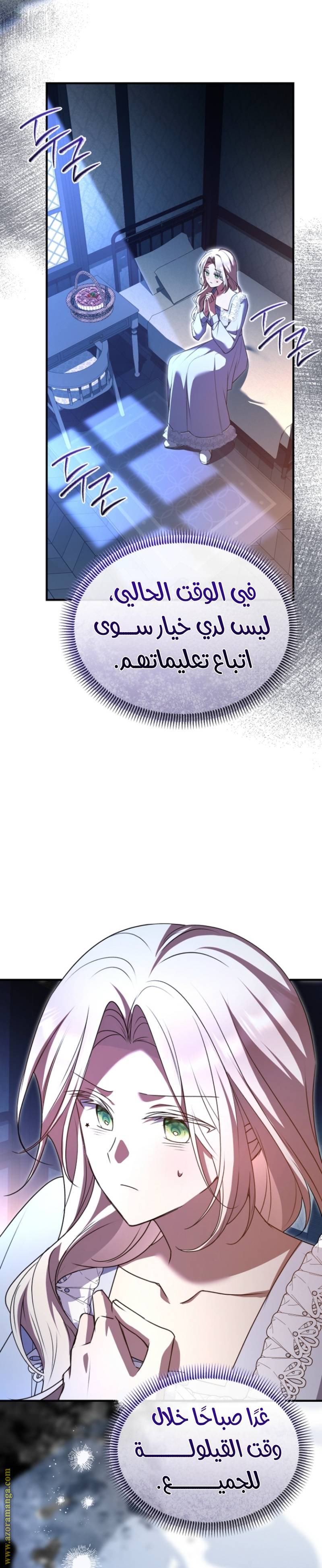 الصفحة 17