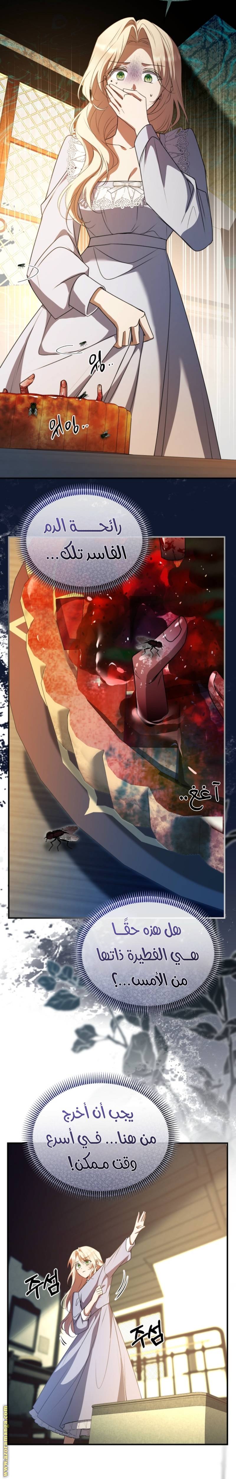 الصفحة 20
