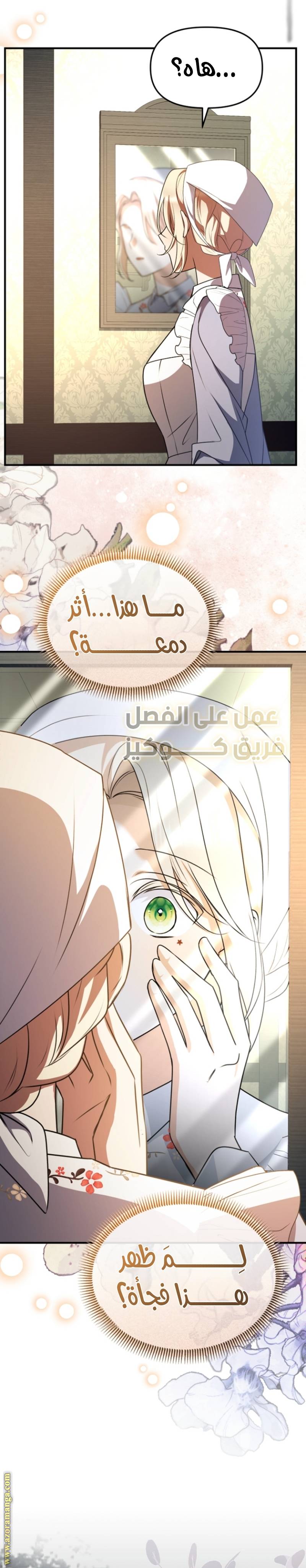 الصفحة 21
