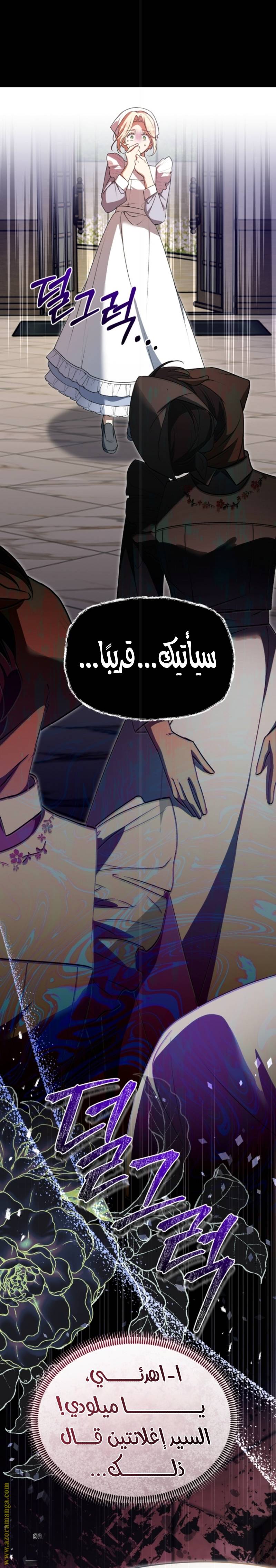 الصفحة 29
