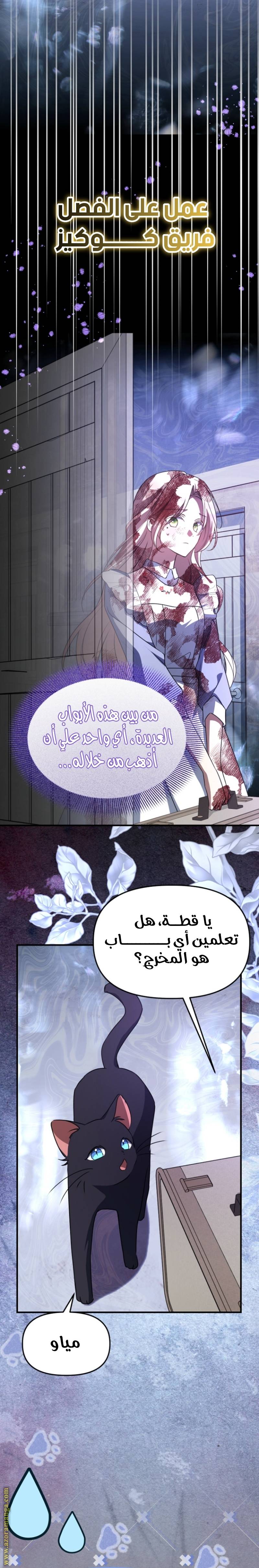 الصفحة 15