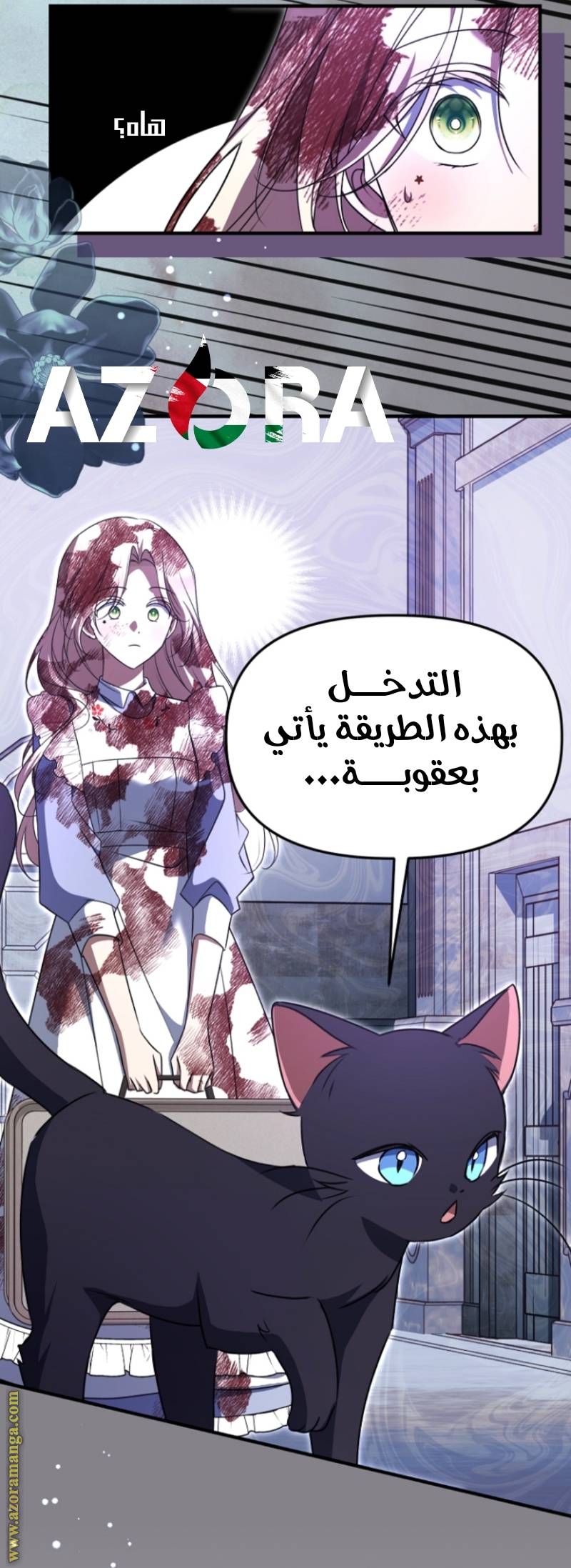 الصفحة 17
