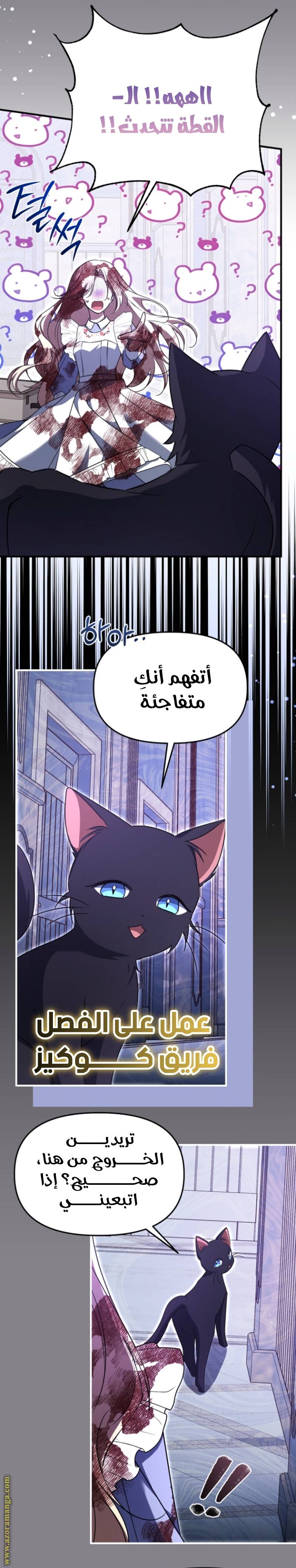 الصفحة 18