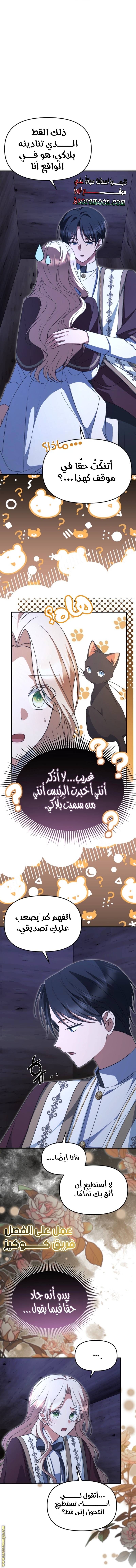 الصفحة 5