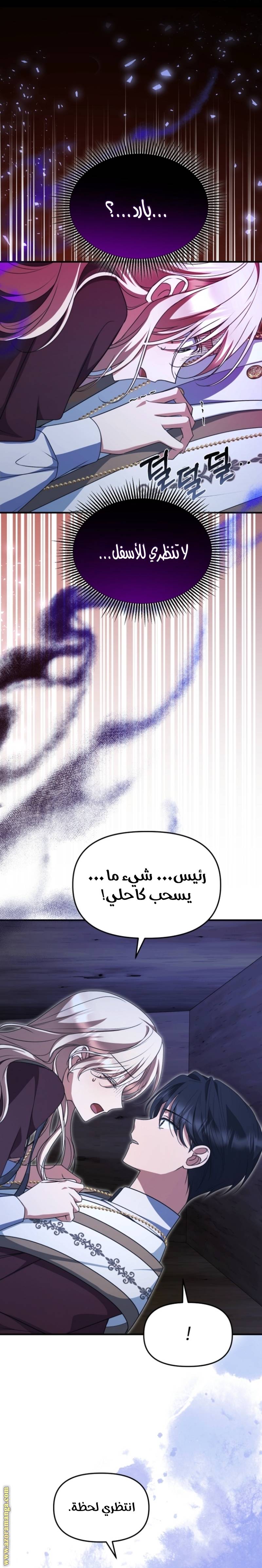 الصفحة 12