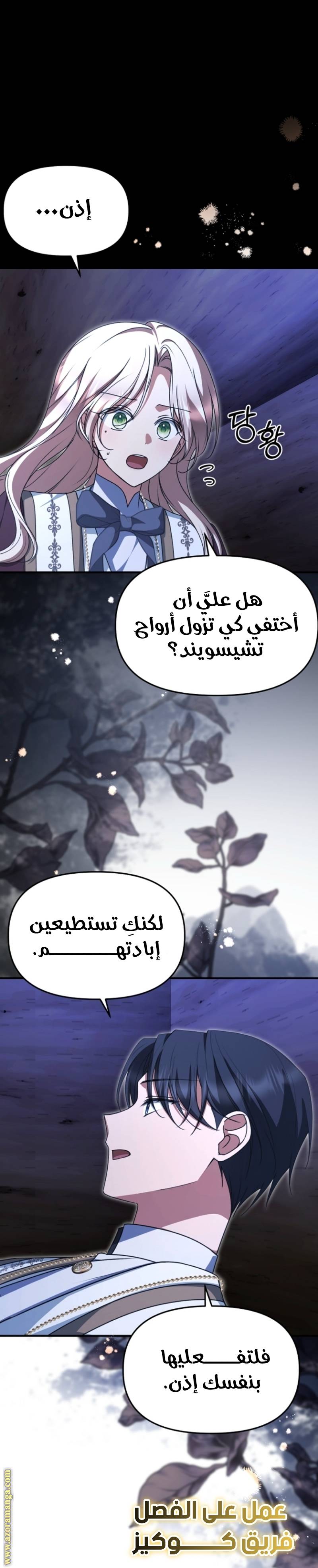 الصفحة 17