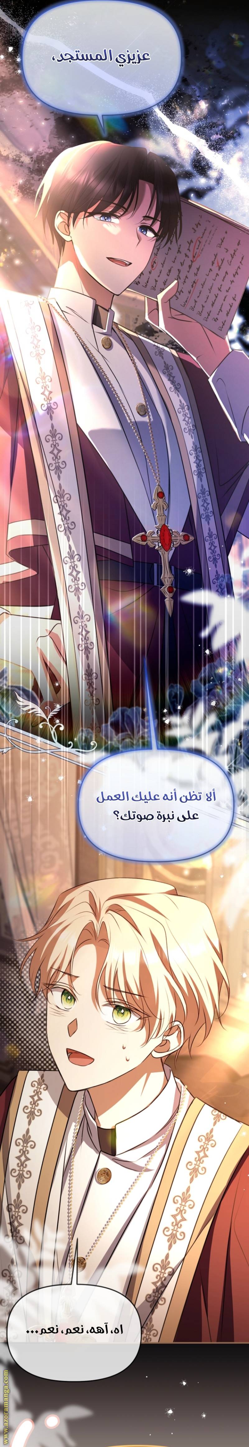 الصفحة 29