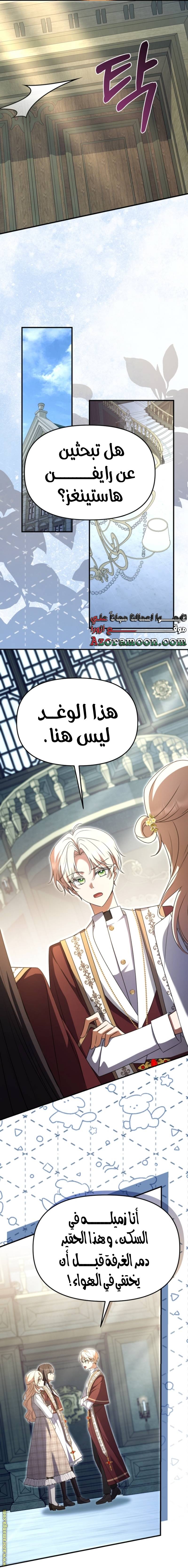 الصفحة 13