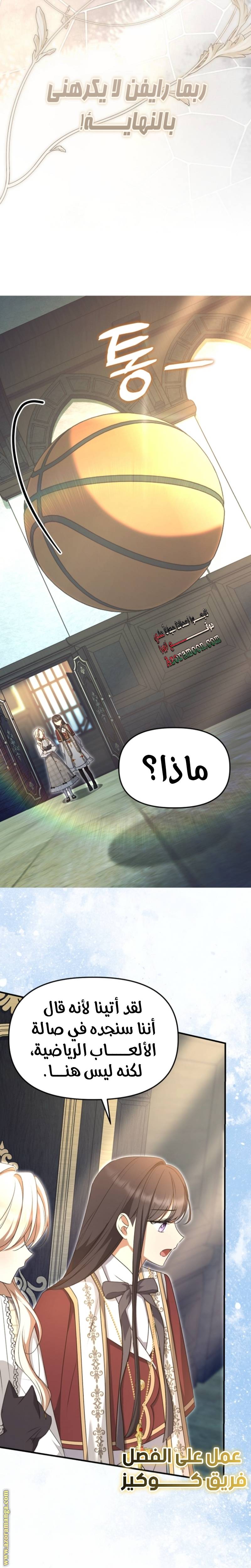 الصفحة 17