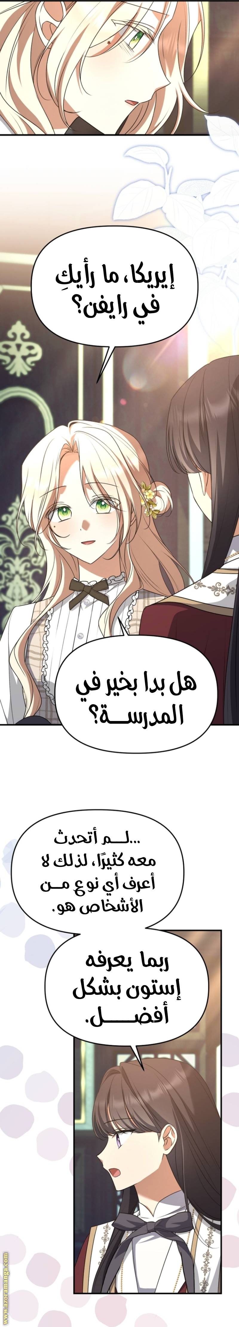 الصفحة 19