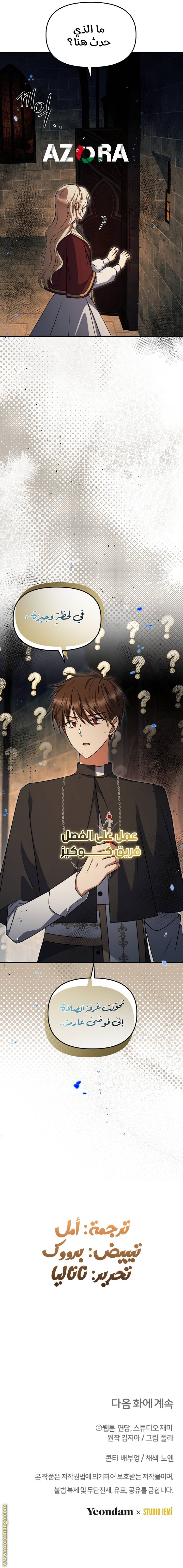 الصفحة 13