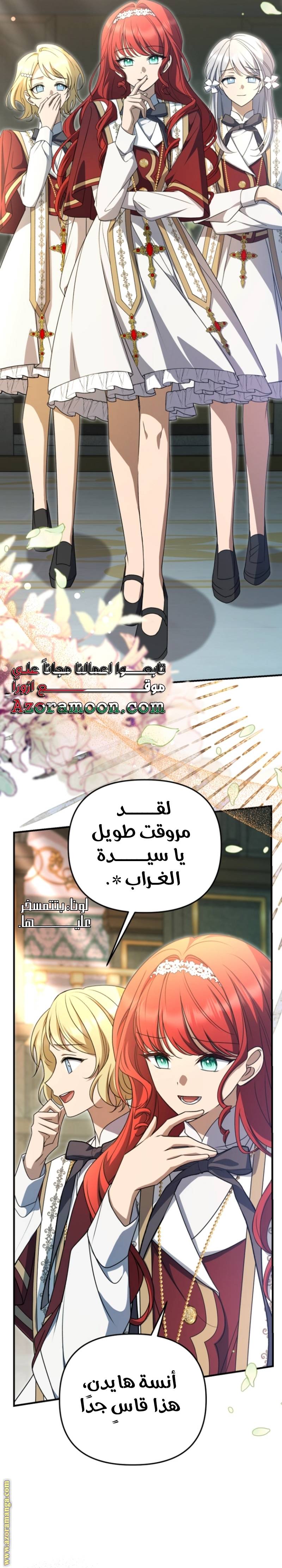 الصفحة 19