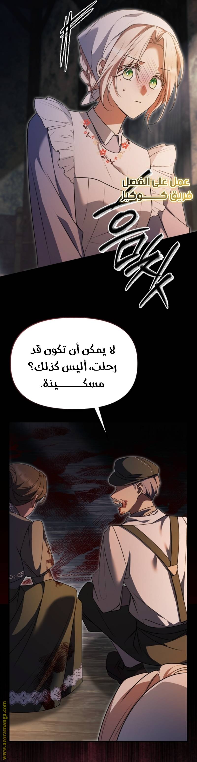 الصفحة 25