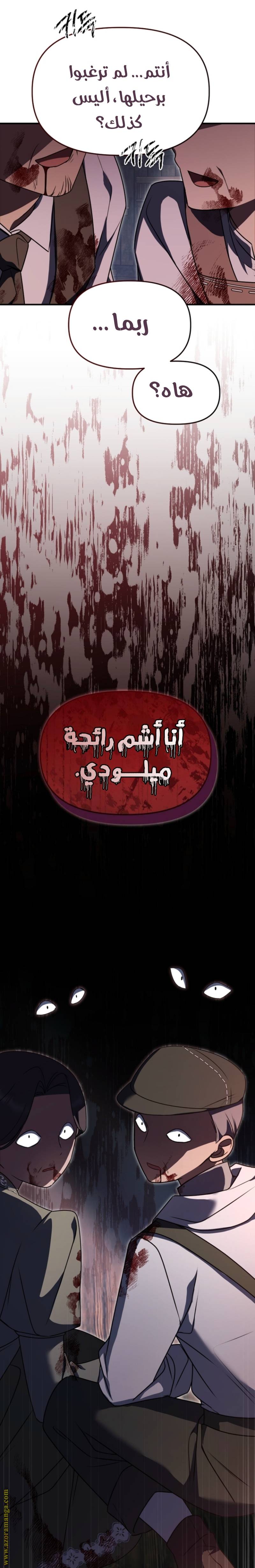 الصفحة 27