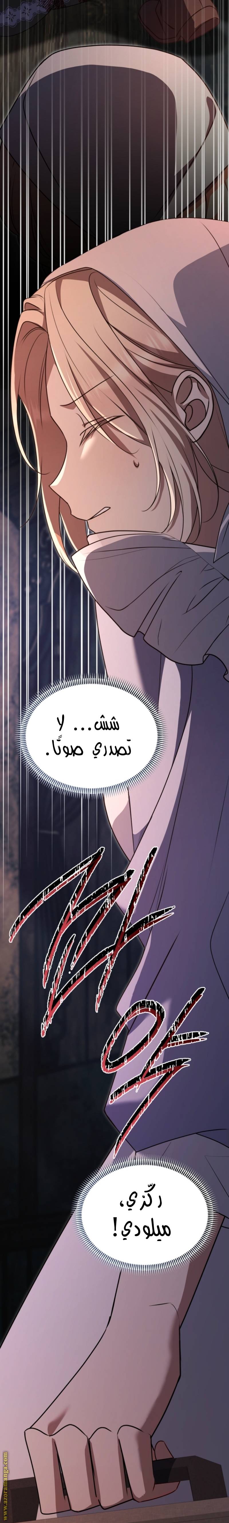 الصفحة 28