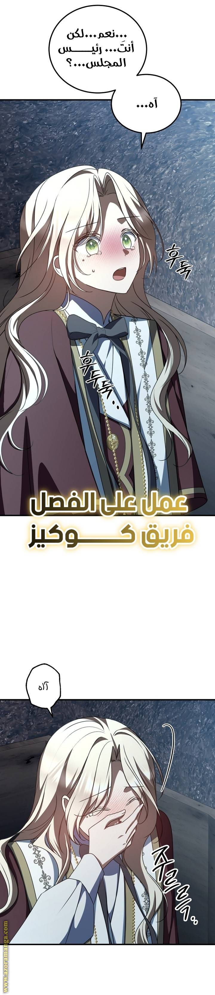 الصفحة 17