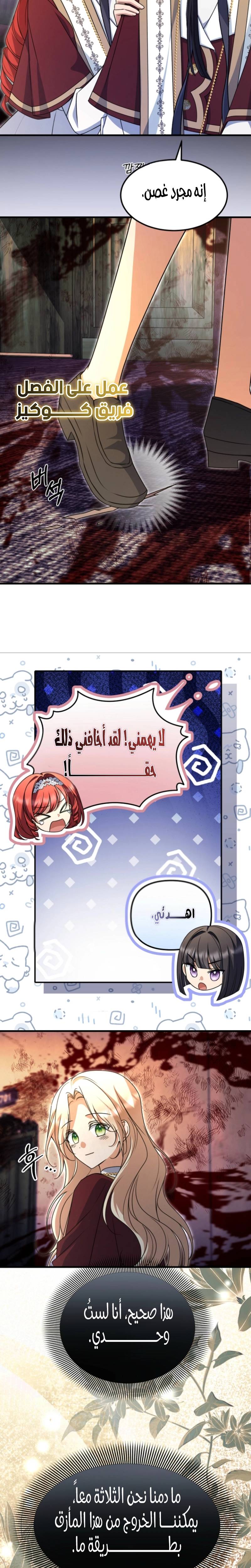 الصفحة 16