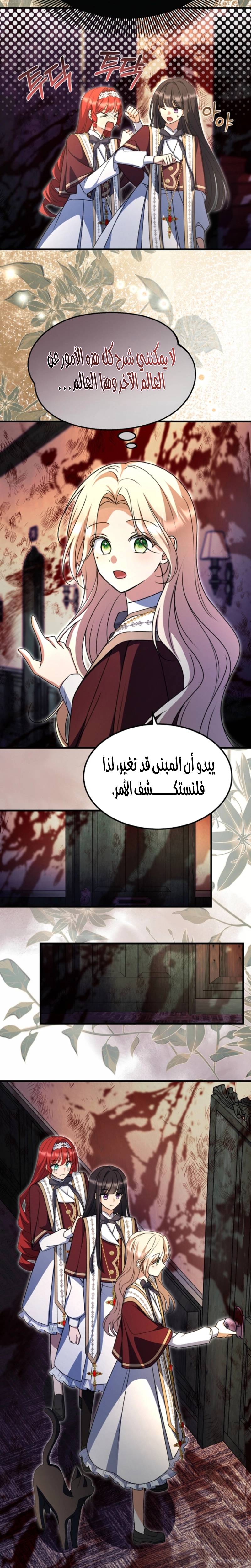 الصفحة 17