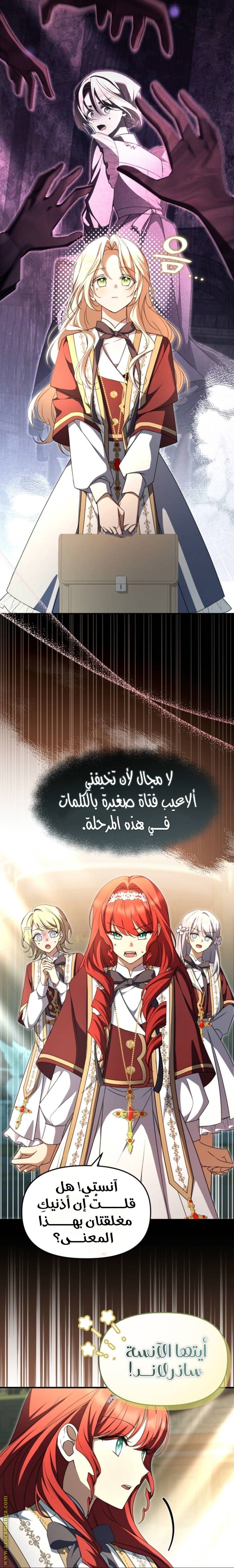 الصفحة 3