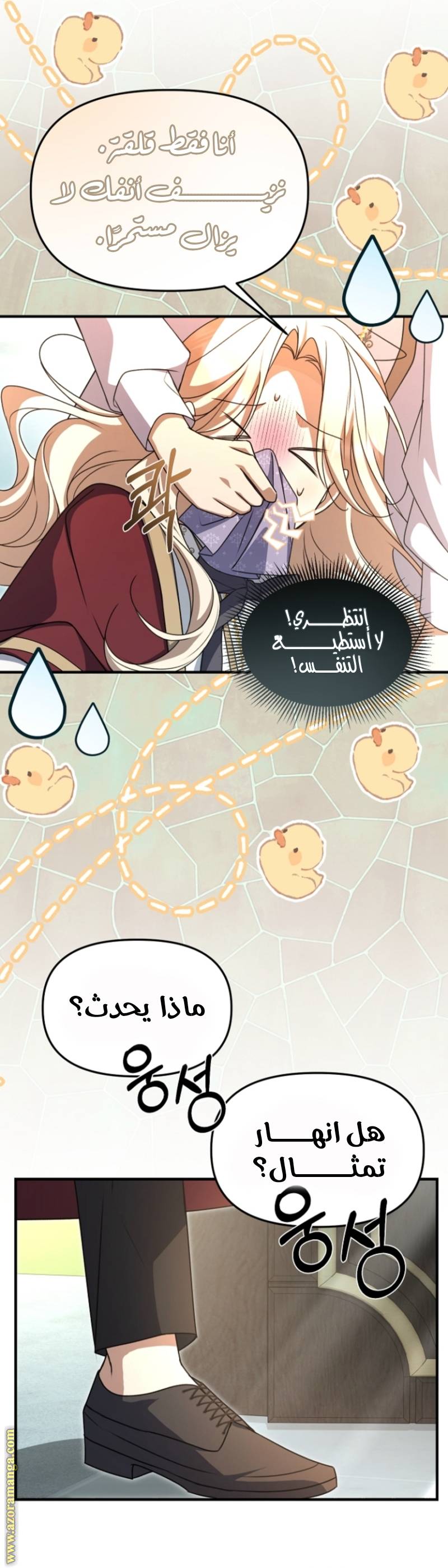 الصفحة 16