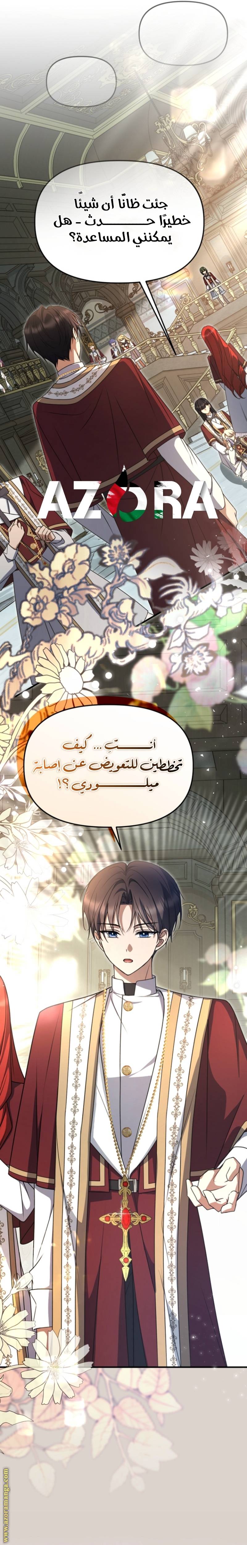 الصفحة 17