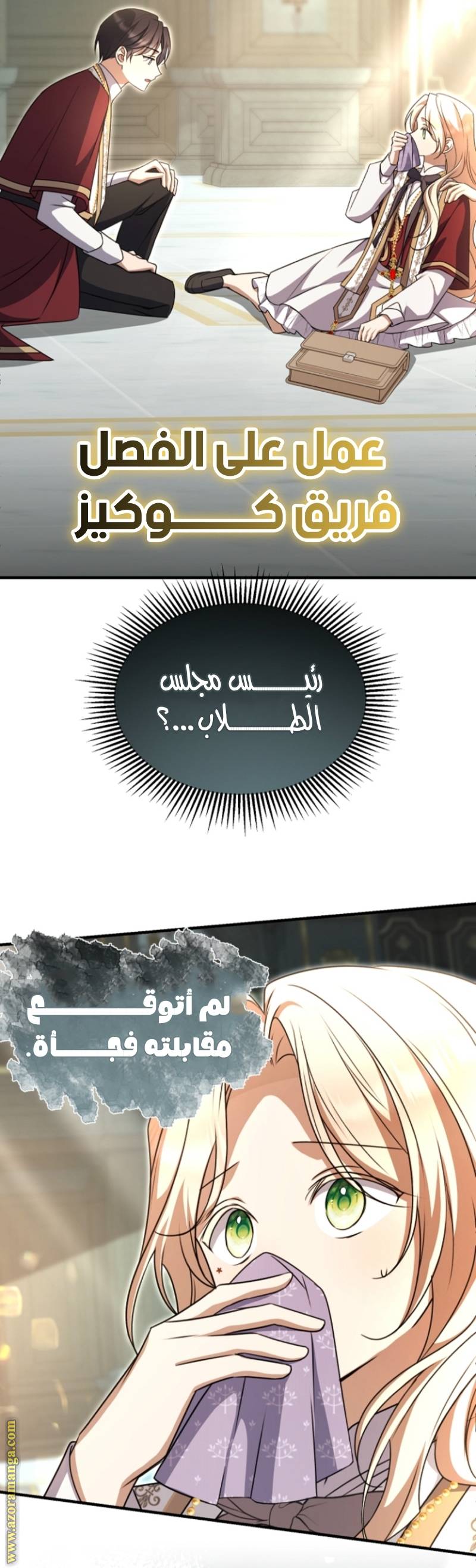 الصفحة 19