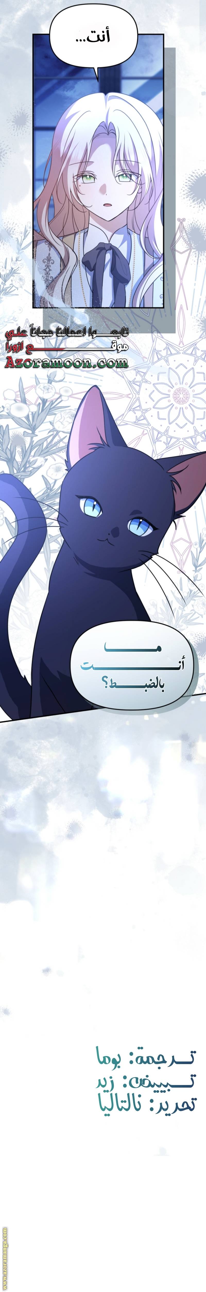 الصفحة 26