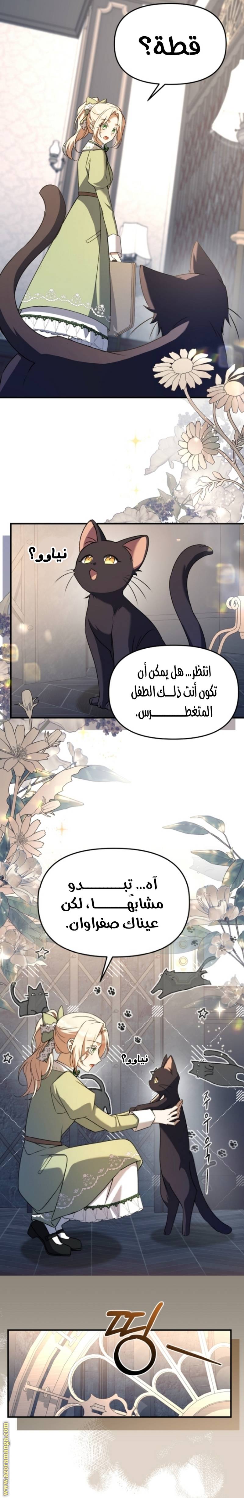 الصفحة 22