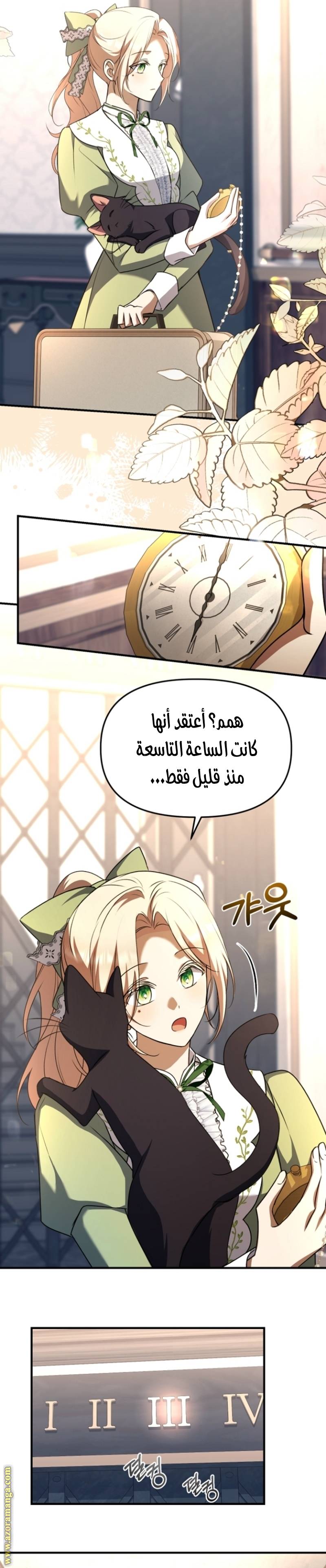 الصفحة 24