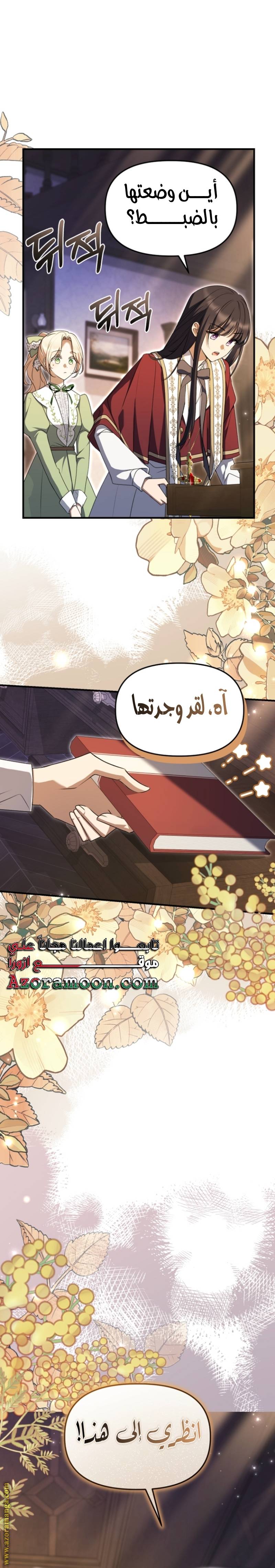 الصفحة 13