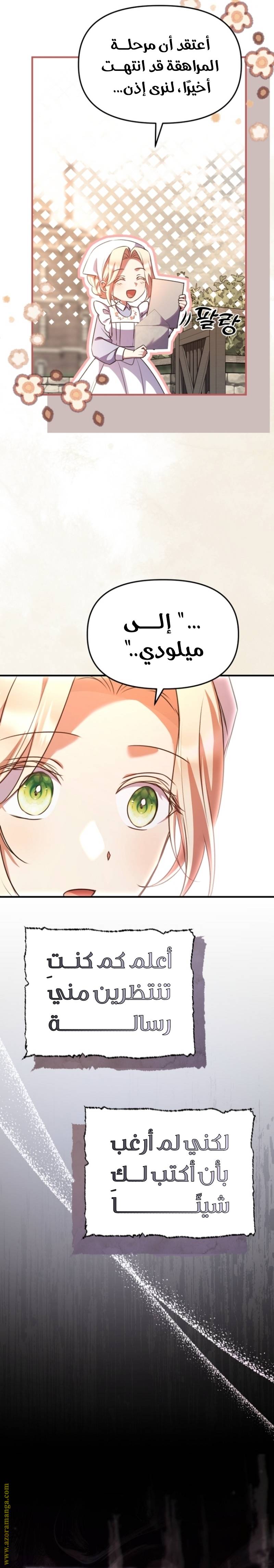 الصفحة 26