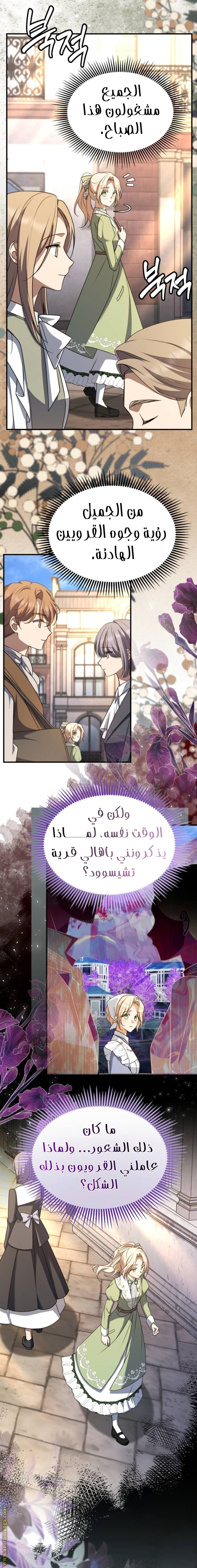 الصفحة 17