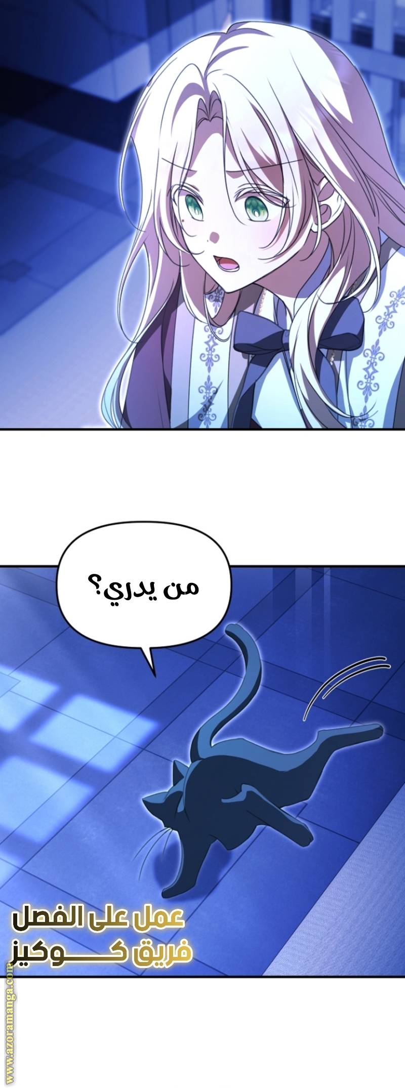 الصفحة 14