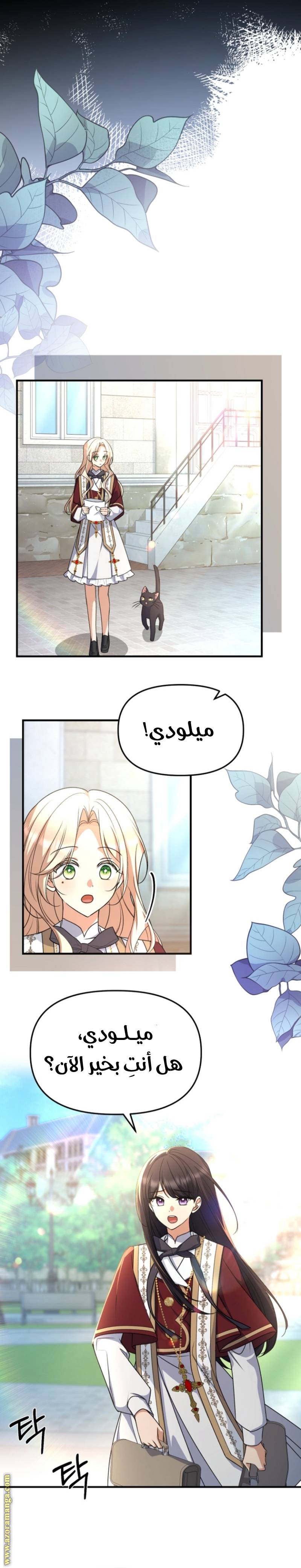 الصفحة 17