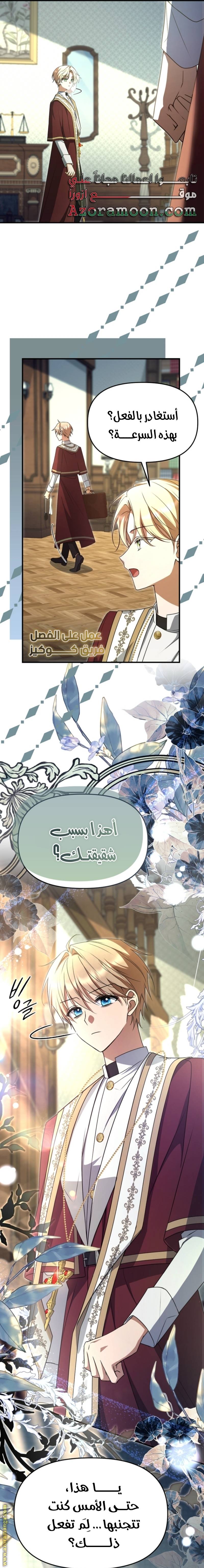الصفحة 14