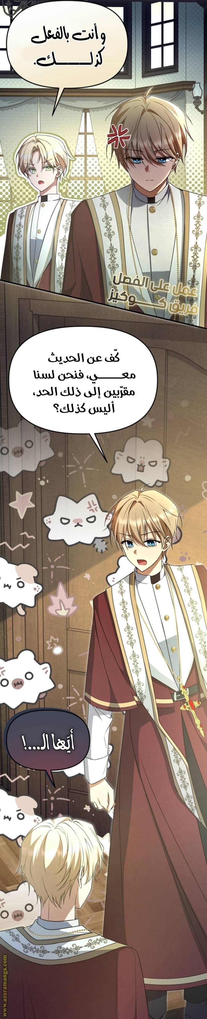 الصفحة 17