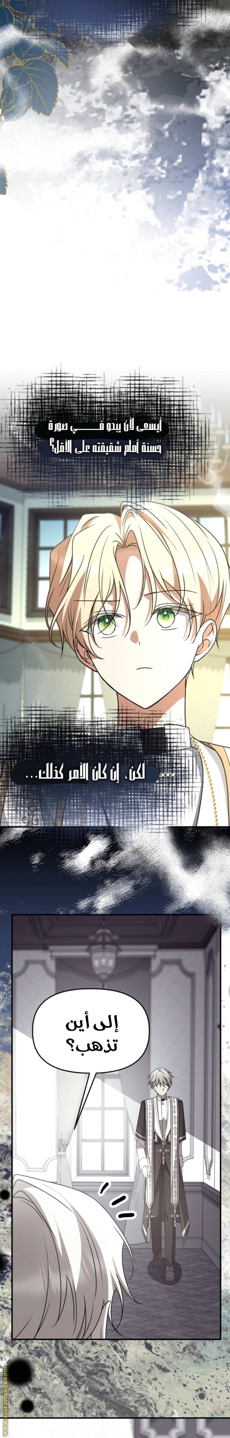 الصفحة 21